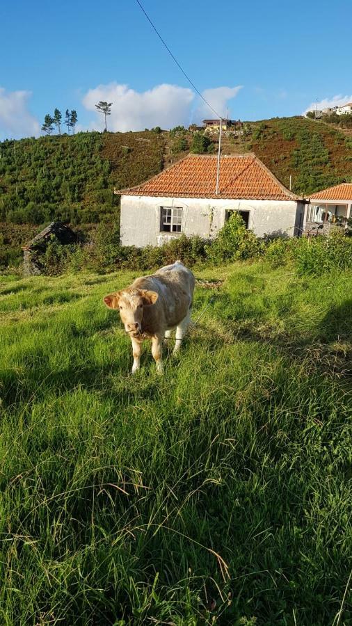 Casa Benedita Ponta do Pargo Zewnętrze zdjęcie