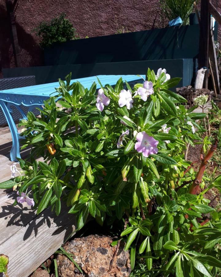 Casa Benedita Ponta do Pargo Zewnętrze zdjęcie